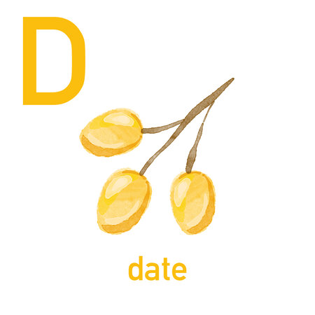 Watercolor English alphabet made of cute fruits and vegetables. Watercolor illustration of food. Vegetarian alphabet. Back to school. Dateの写真素材