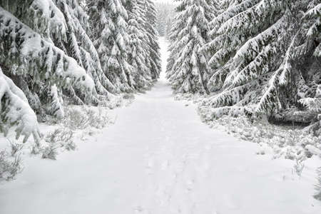 Winter landscape in Polish Mountainの写真素材