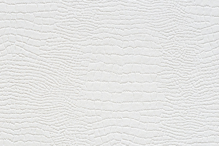 White Art Paper Textured Backgroundの写真素材