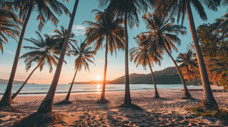 Palm Tree Paradise, Sunset Glow on the Seashoreの素材