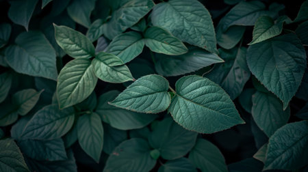 Detailed Green Leaves Compositionの素材
