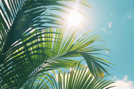 Serenity in Nature, Silhouetted Palm Leaves under Azure Skiesの素材