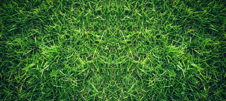 Lush Green Grass Textureの素材