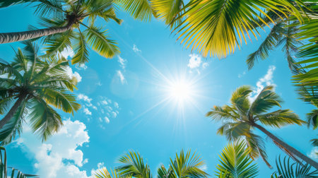 Tropical Background with Palm Treesの素材