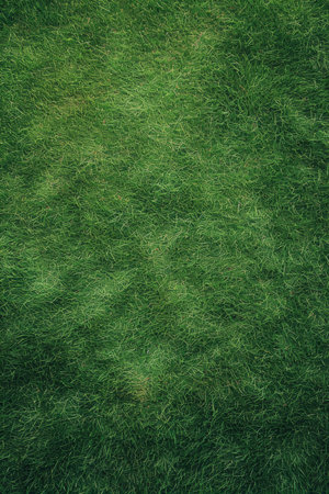 Lush Green Grass Textureの素材