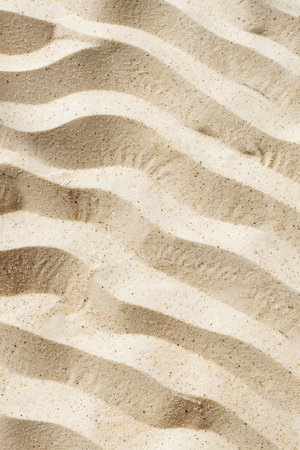 Tranquil Beige Sand with Intricate Natural Designsの素材