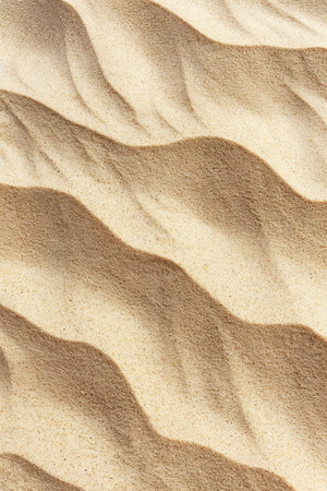 Tranquil Beige Sand with Intricate Natural Designsの素材