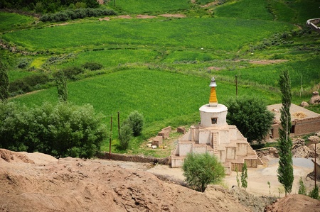 stupa and green