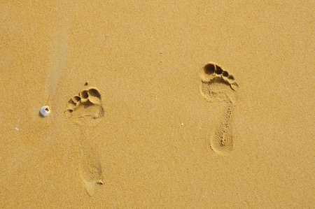 Footprints in the sand  の写真素材