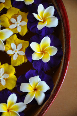 Set of flowers の写真素材