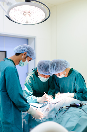 group of veterinarian surgery in operation roomの写真素材