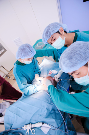 veterinarian doctor in operation room for laparoscopic surgicalの写真素材
