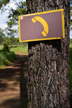 Telephone sign on the treeの写真素材