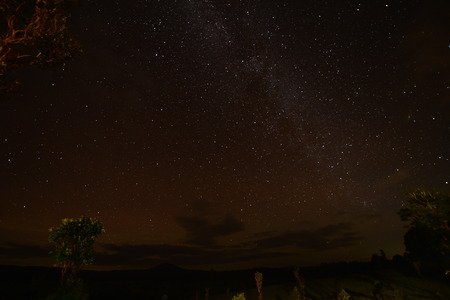 Night sky with the Milky Way over the forest and trees,Thailand