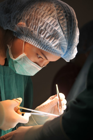 veterinarian doctor in operation room for surgicalの写真素材