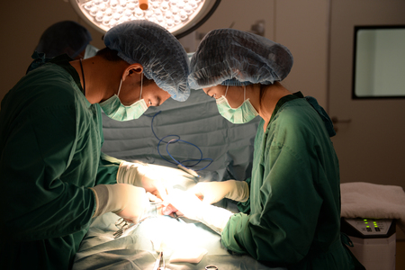 two veterinarian surgeons in operating roomの写真素材