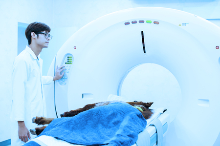 veterinarian doctor working in MRI scanner room take with blue filterの写真素材