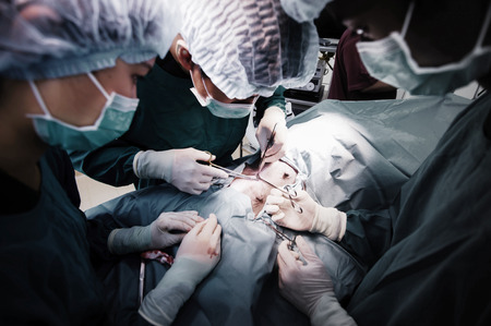 veterinarian surgeons in operation room,selective color techniqueの写真素材