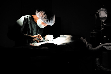 veterinarian doctor in operation room for surgical,selective color techniqueの写真素材