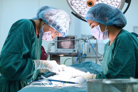 two veterinarian surgeons in operating roomの写真素材