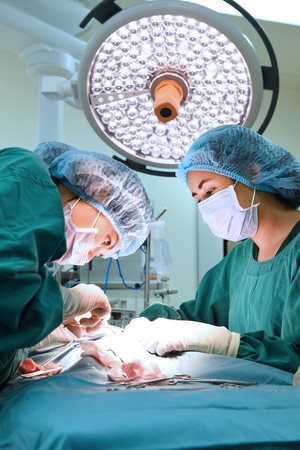 two veterinarian surgeons in operating roomの写真素材