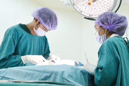 two veterinarian surgeons in operating roomの写真素材