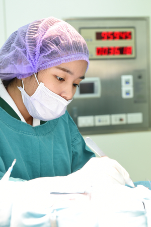 veterinarian surgery in operation roomの写真素材