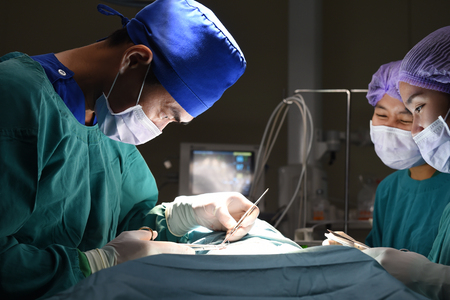 group of veterinarian surgery in operation roomの写真素材