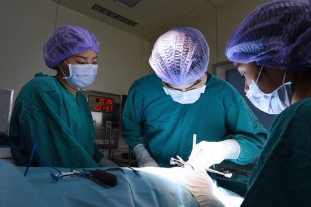 group of veterinarian surgery in operation roomの写真素材