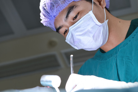 veterinarian surgery in operation roomの写真素材