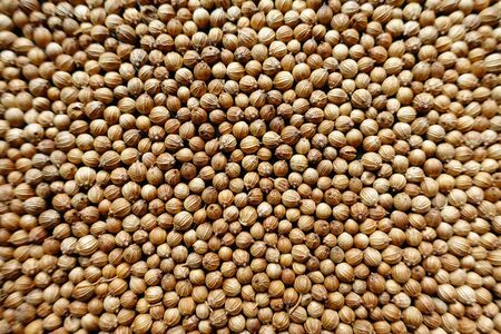 closeup background of pepper seedsの写真素材