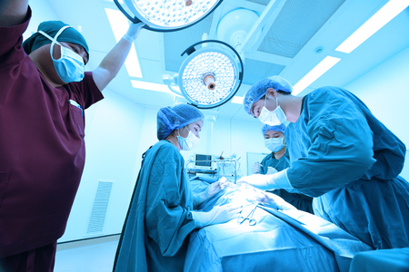 group of veterinarian surgery in operation room take with art lighting and blue filterの写真素材