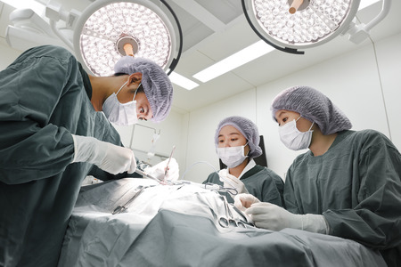 group of veterinarian surgery in operation room take with selective color technique and art lightingの写真素材