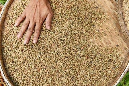 Coffee beans for backgrounds or texturesの写真素材