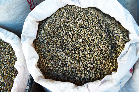 green bean coffee beans for backgroundの写真素材