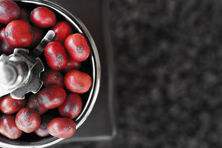 Close up of coffee beans ripening in coffee grinder take with selective color technique and art...