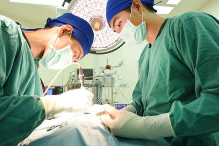 two veterinarian surgeons in operating roomの写真素材