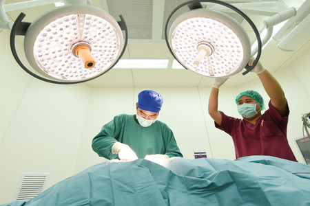 two veterinarian surgeons in operating roomの写真素材