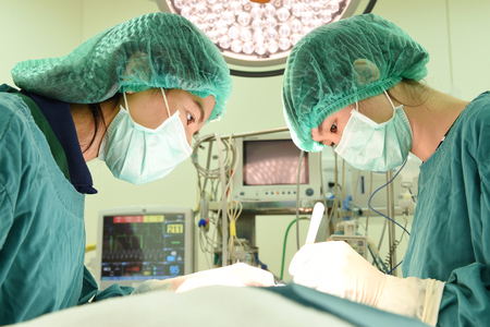 two veterinarian surgeons in operating roomの写真素材
