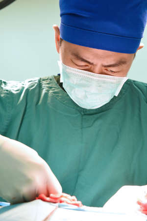 veterinarian surgery in operation roomの写真素材
