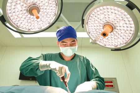 veterinarian surgery in operation roomの写真素材