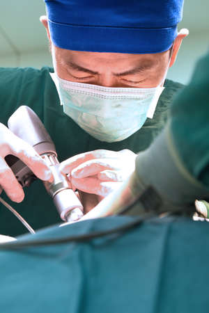 veterinarian surgery in operation room