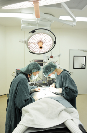 two veterinarian surgeons in operating room take with selective color technique and art lightingの写真素材