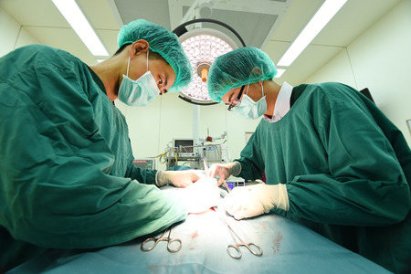 two veterinarian surgeons in operating roomの写真素材