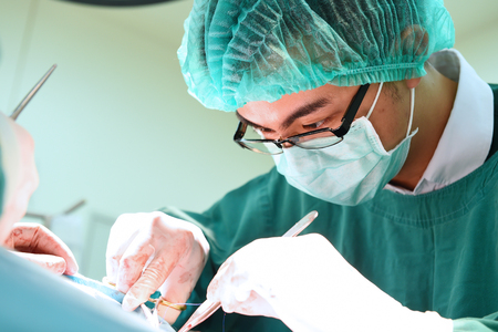 veterinarian surgery in operation roomの写真素材
