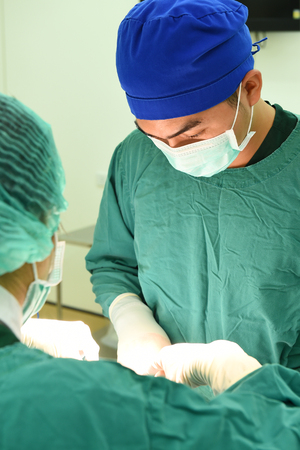 two veterinarian surgeons in operating roomの写真素材