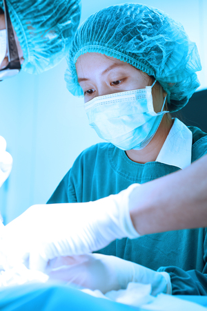 veterinarian surgery in operation room take with art lighting and blue filterの写真素材