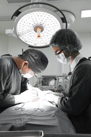 two veterinarian surgeons in operating room take with selective color technique and art lightingの写真素材