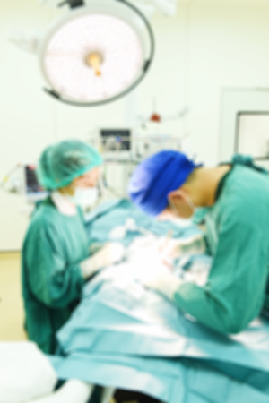 Blur of two veterinarian surgeons in operating roomの写真素材