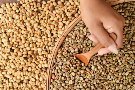 Coffee beans on wooden spoon for backgroundの写真素材